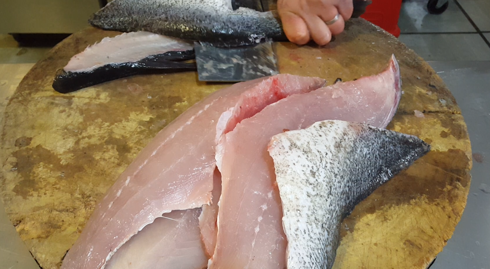 鱼丸的制作方法和配方_一斤鱼肉放多少淀粉做鱼丸-2