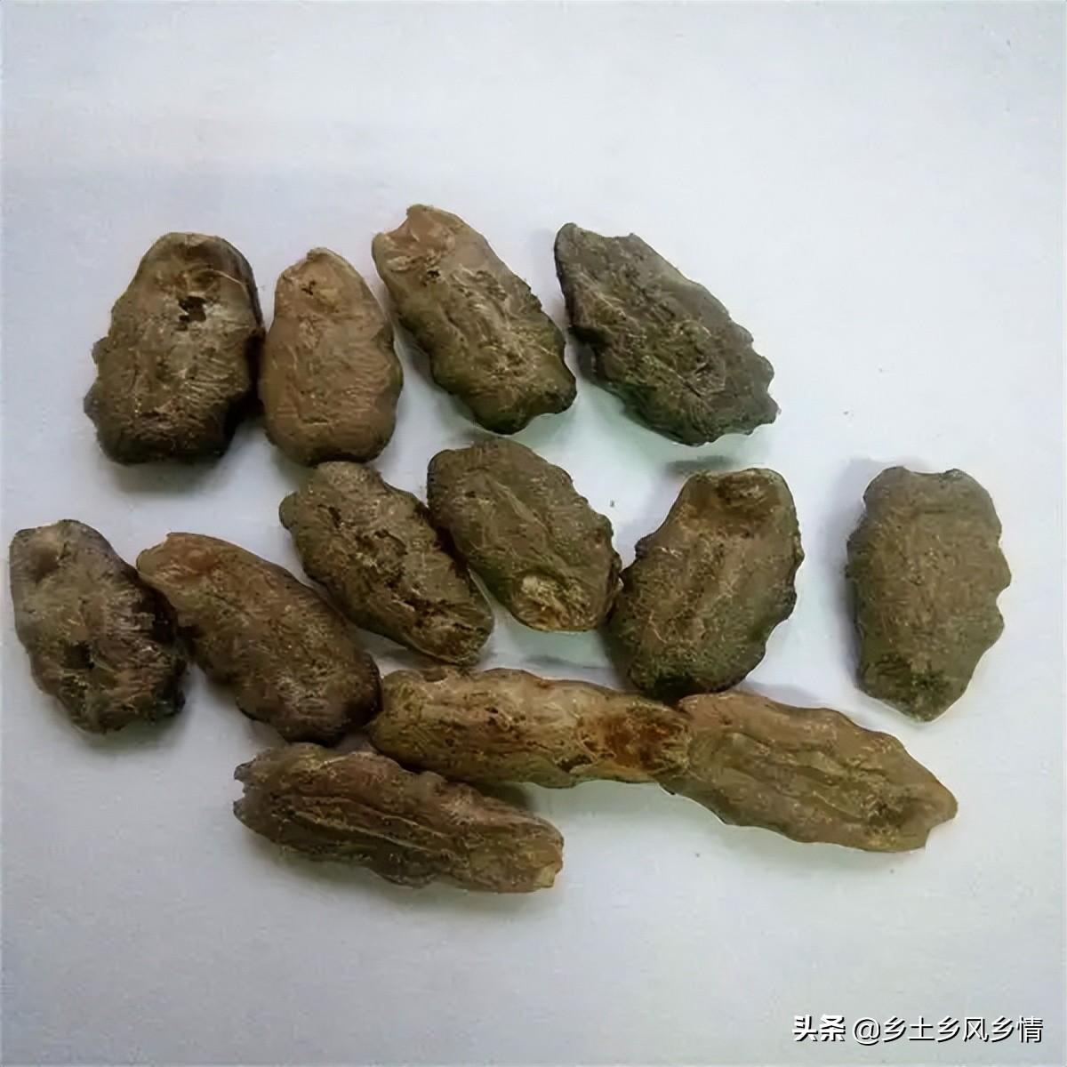 蛇豆的做法大全家常菜，蛇豆育苗方法技巧-3