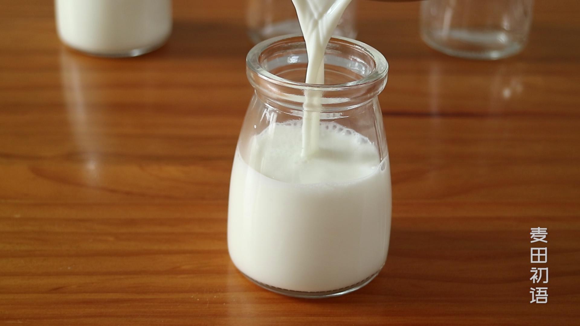 酸奶自然发酵怎么做（自制酸奶的简单做法）-12