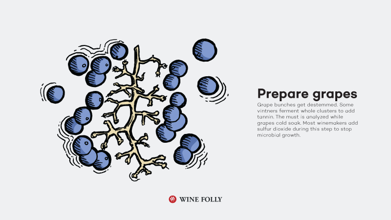 红葡萄酒酿造的基本工艺流程「干货」-3