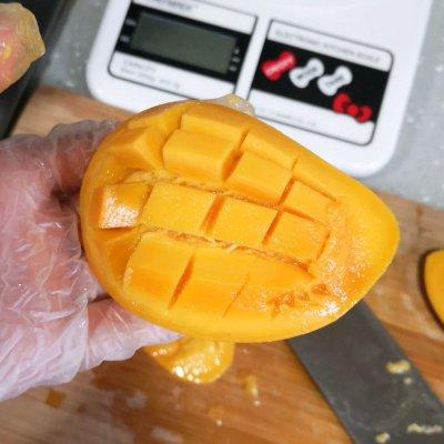 芒果果冻的做法吉利布丁片（芒果可以做什么甜品）-3