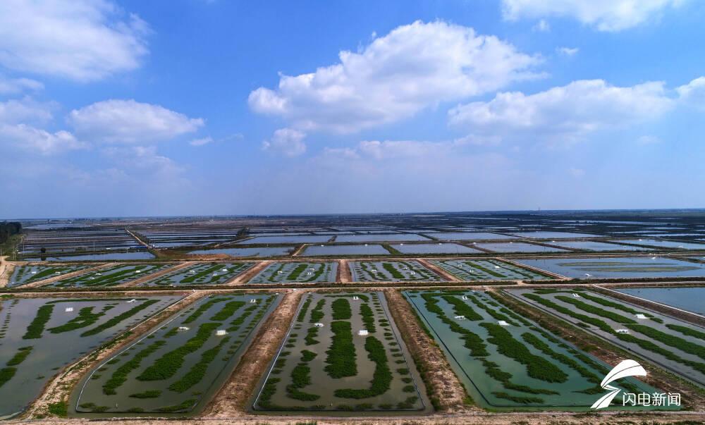 黄河口大闸蟹最佳季节，黄河口大闸蟹几月份有-6