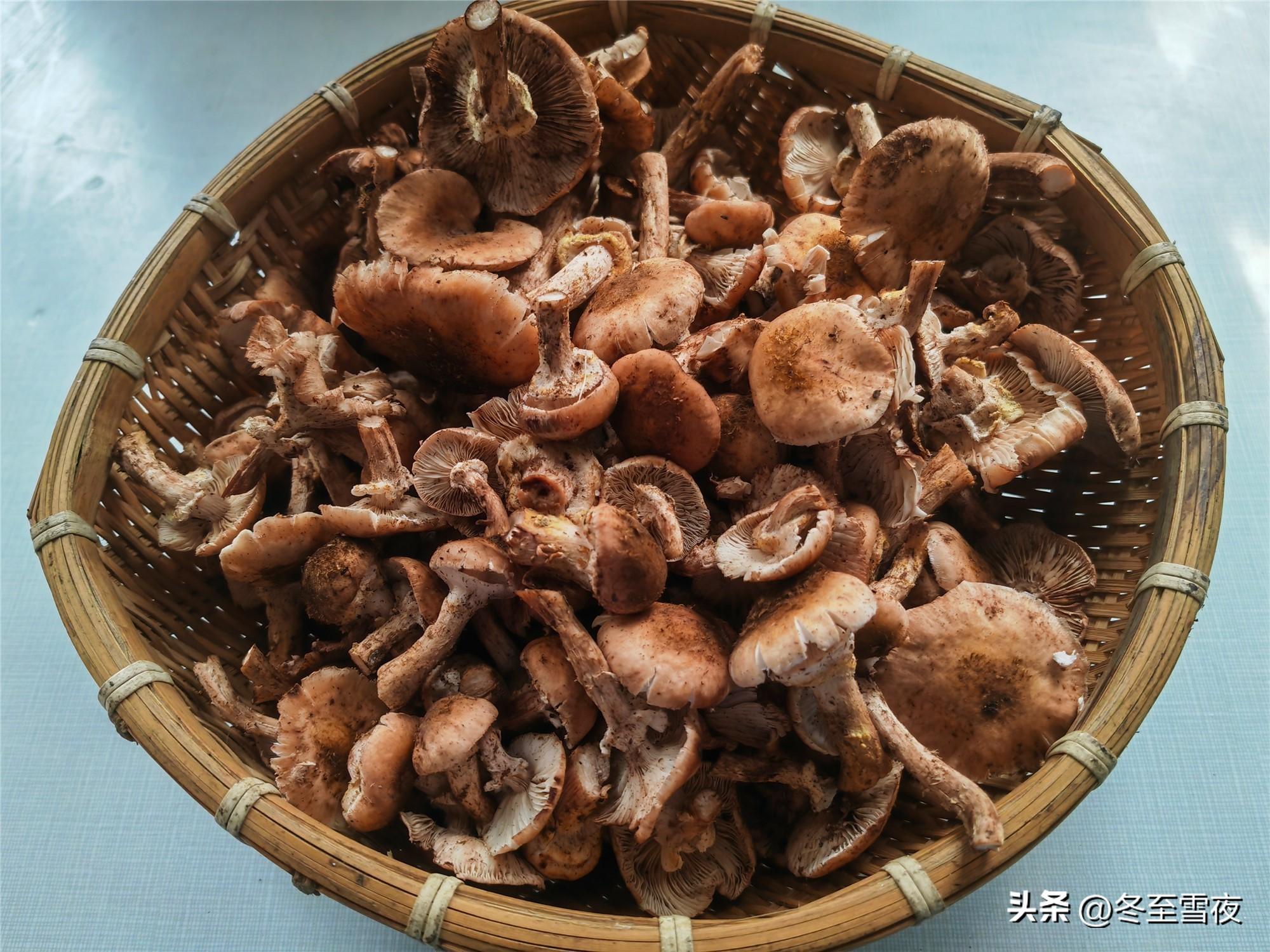 野生干蘑菇的做法大全 东北干蘑菇怎么做好吃？-1