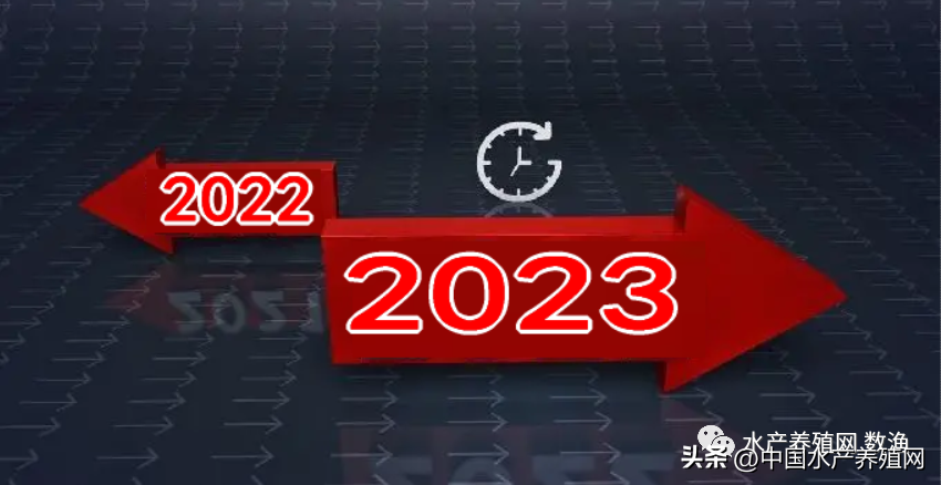 桂花鱼多少钱一斤2022年市场价(图文详解)-4