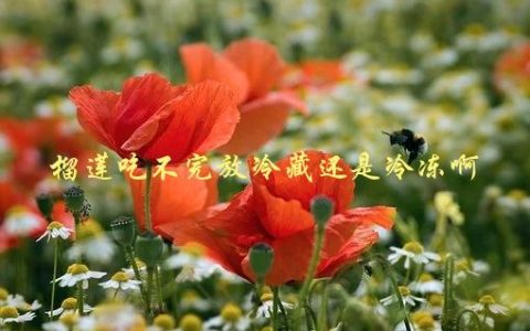 榴莲吃不完放冷藏还是冷冻啊，正确的保存方法是什么