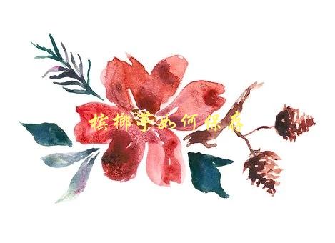 槟榔芋如何保存，让你的芋头保鲜更久-1