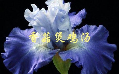 香菇煲鸡汤(如何煲出浓郁美味的家常汤)