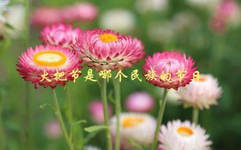 火把节是哪个民族的节日，揭秘中国彝族的传统庆典