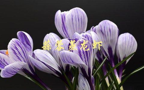 蒜蓉蒸龙虾(如何做出口感鲜美的龙虾料理)