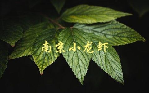 南京小龙虾(哪里有最正宗的口感)