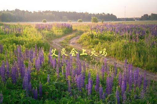 艾灸会上火吗，真相揭秘！-1