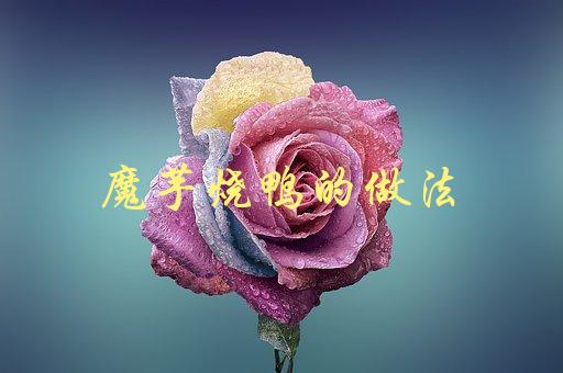 魔芋烧鸭的做法(怎样才能让鸭肉更加入味？)-1