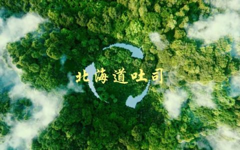 北海道吐司(如何制作口感松软的日式吐司)