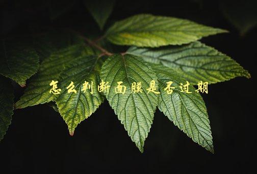 怎么判断面膜是否过期，简单易懂的方法-1