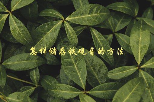 怎样储存铁观音的方法，让你的茶叶更香更好喝-1