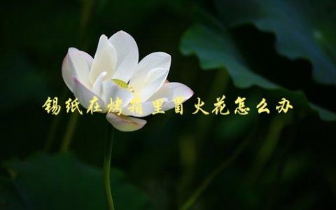 锡纸在烤箱里冒火花怎么办，如何安全使用烤箱避免火灾