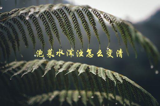 泡菜水浑浊怎么变清，几种简单方法让你轻松解决-1