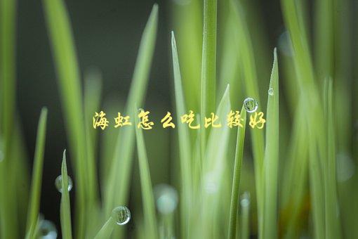 海虹怎么吃比较好，烹饪技巧大揭秘-1