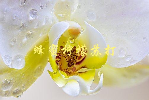 蜂蜜柠檬苏打(能够缓解喉咙疼痛吗？)-1