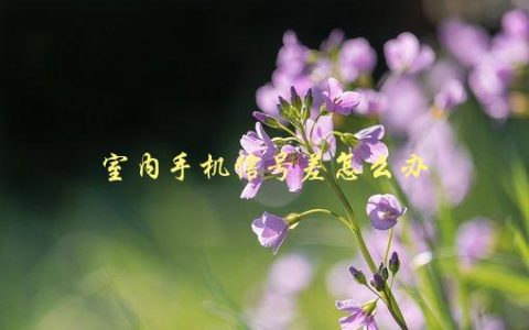 室内手机信号差怎么办，有哪些简单有效的解决方法