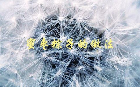 蜜枣粽子的做法(怎样制作美味的蜜枣粽子)