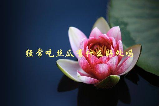 经常吃丝瓜有什么好处吗，探寻丝瓜的营养价值-1