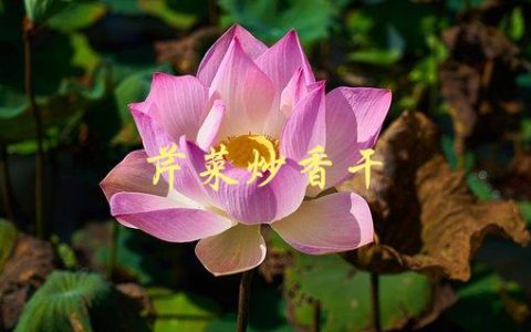 芹菜炒香干(如何做出口感鲜美的家常菜)