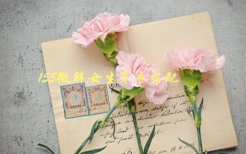 155微胖女生穿衣搭配，如何穿出时尚感与自信心