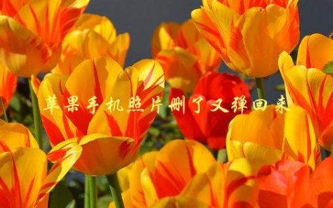 苹果手机照片删了又弹回来，如何解决这个问题