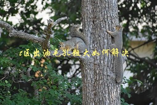 t区出油毛孔粗大如何解决，7个实用小技巧-1