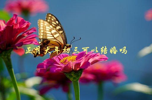 正月大年初三可以结婚吗，这个传统习俗的背后原来是这个意思-1