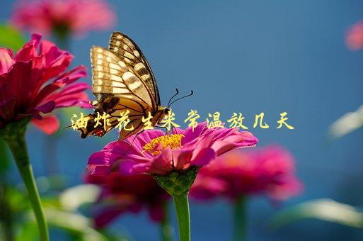 油炸花生米常温放几天，可以放多久？-1