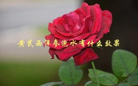 黄芪西洋参泡水有什么效果，能够增强免疫力吗