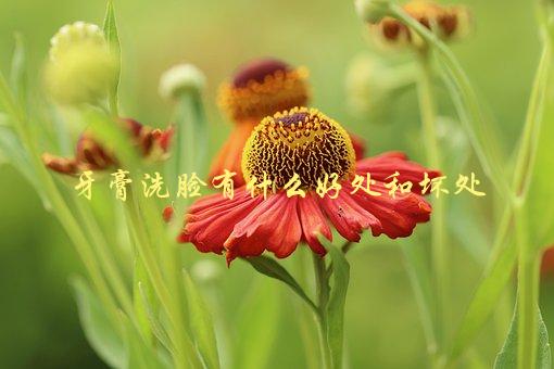 牙膏洗脸有什么好处和坏处，专家解析-1