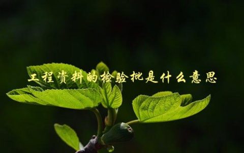 工程资料的检验批是什么意思，详解工程建设中的质量管理