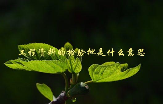 工程资料的检验批是什么意思，详解工程建设中的质量管理-1