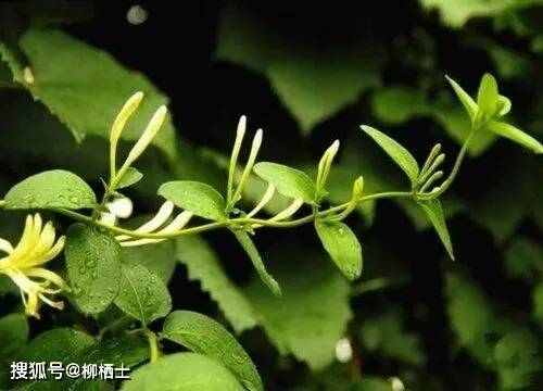 如何提高高考作文的成绩?9个热点主题的高考作文素材