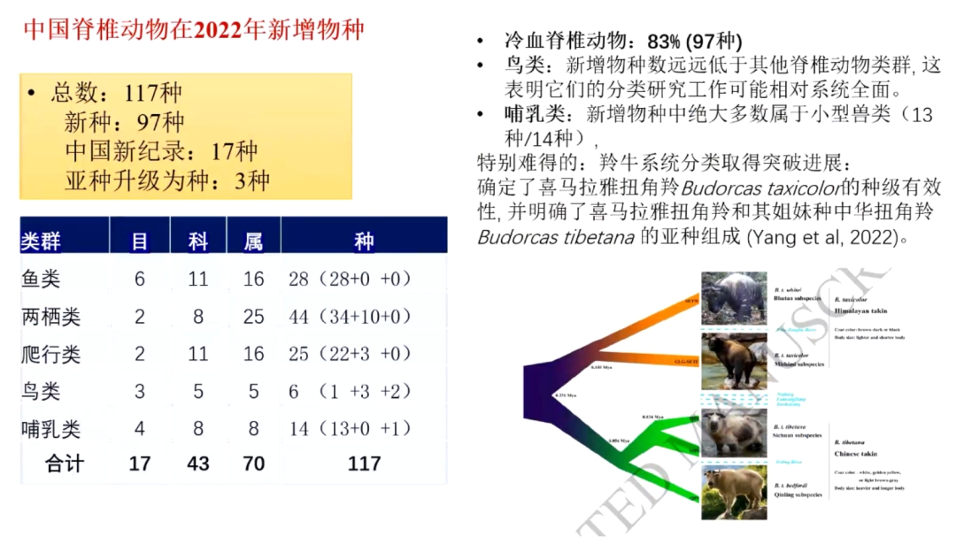 最新版中国生物物种名录,有啥变化