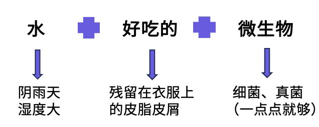 阴雨天洗过的衣服为什么会发臭?其实是没有洗干净