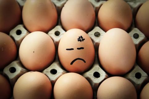 食用低温杀菌的蛋制品,究竟安不安全?沙门氏菌鸡蛋管控相关标准亟待完善