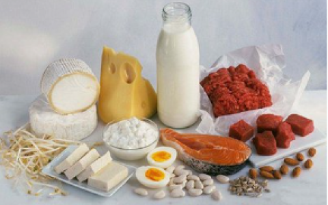 蛋白质高的食物有哪些|蛋白质对人体的作用