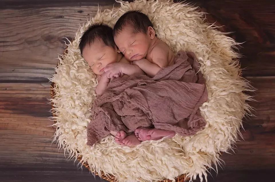 什么是“半同卵双胞胎”?全世界仅有两例被确认
