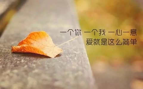 背叛者怎样挽回婚姻（尊重对方的选择，不能再自私自利）