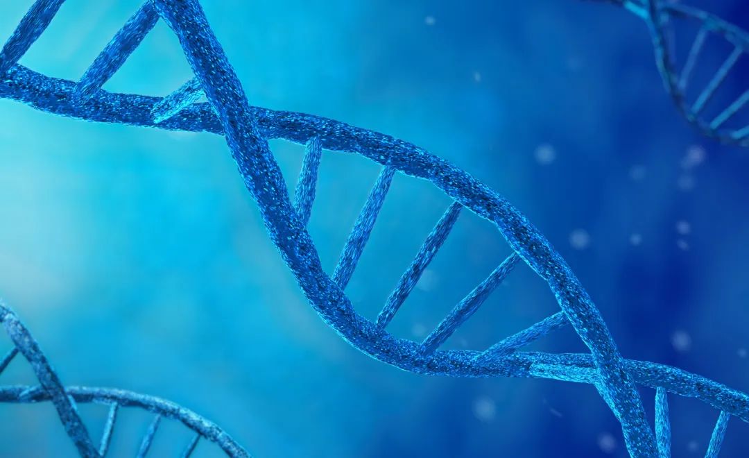 天赋基因检测你听说过吗?天赋基因检测靠谱吗?