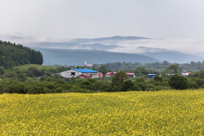 文学